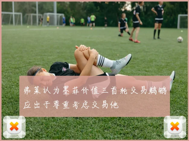 弗莱认为墨菲价值三首轮交易鹈鹕应出于尊重考虑交易他