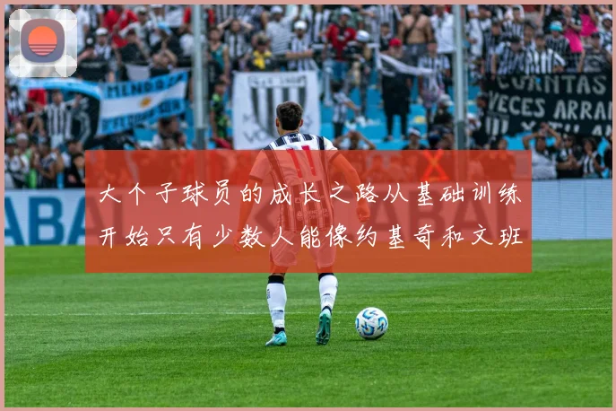 大个子球员的成长之路从基础训练开始只有少数人能像约基奇和文班那样成功