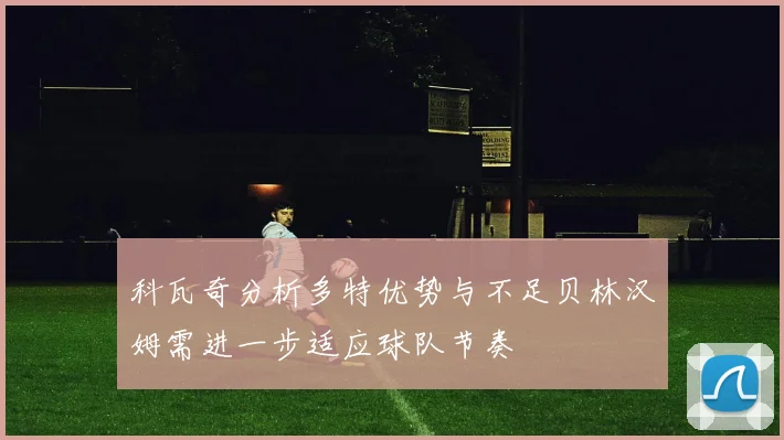 科瓦奇分析多特优势与不足贝林汉姆需进一步适应球队节奏