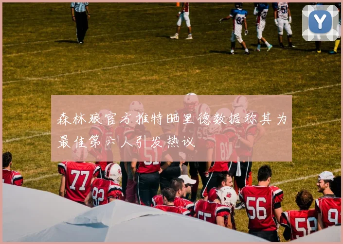 森林狼官方推特晒里德数据称其为最佳第六人引发热议